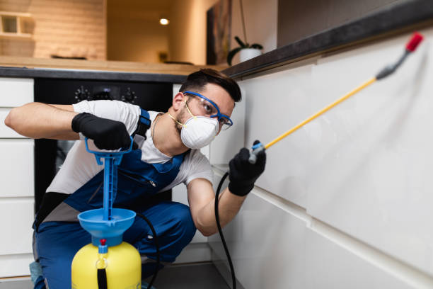 Best Residential Pest Control  in Barrington Hls, IL