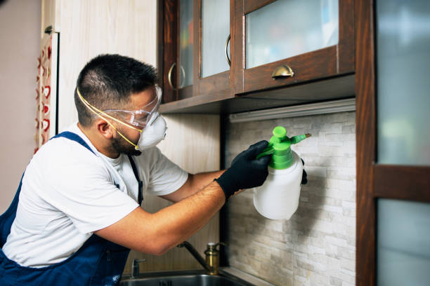 Best Rat Extermination Near Me  in Barrington Hls, IL