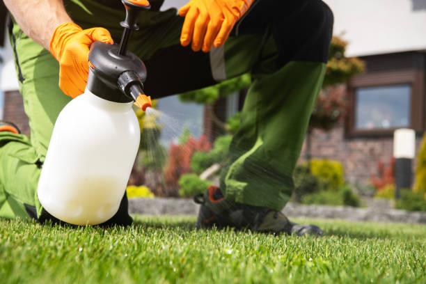 Best Pest Inspection Near Me  in Barrington Hls, IL