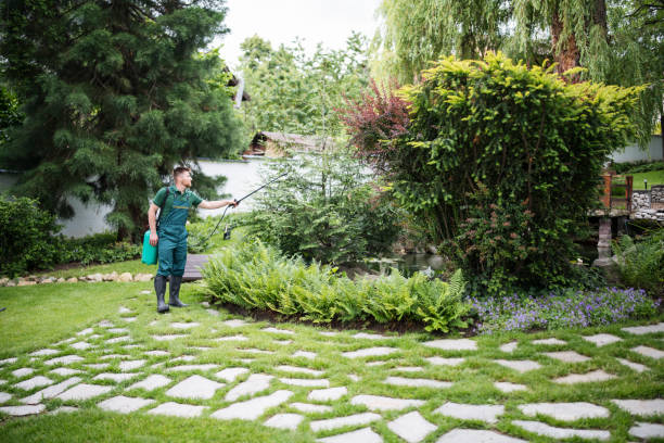 Best Mosquito Control Services  in Barrington Hls, IL