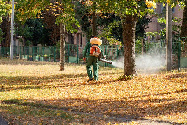 Best Spider Control Near Me  in Barrington Hls, IL