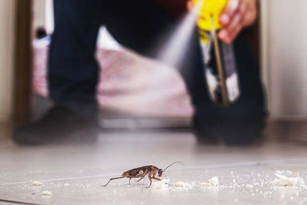 Best Bed Bug Extermination  in Barrington Hls, IL