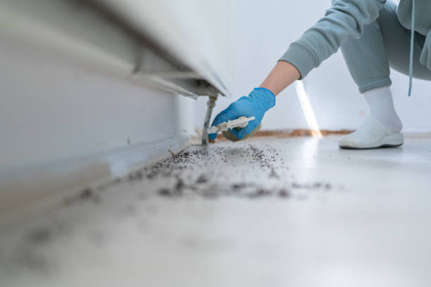 Best Insect Control  in Barrington Hls, IL