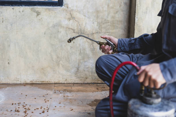 Best Pest Control for Homes  in Barrington Hls, IL