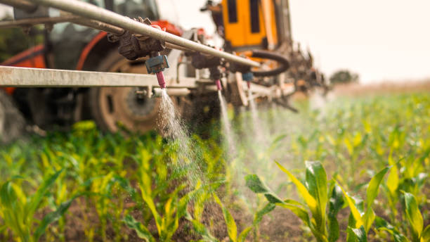 Best Pest Prevention Services  in Barrington Hls, IL